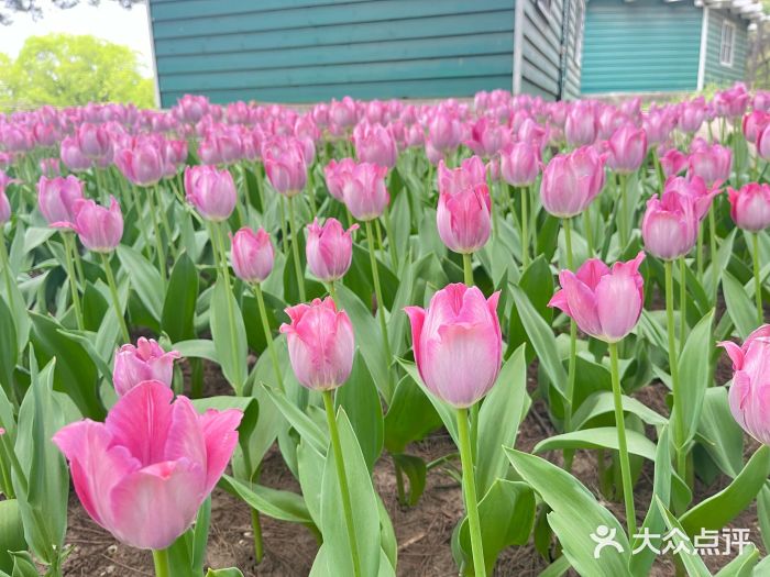 沈阳植物园图片