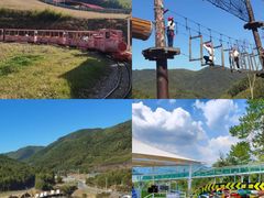 -莫干山风景区