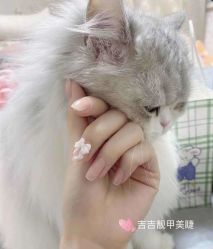-吉吉靓甲美睫
