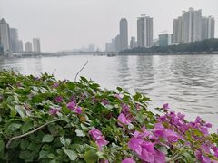 -新榕记滨江壹號