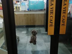 -如果枫糖(万达店)
