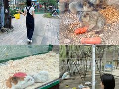 -王府井奥莱棋盘山小镇