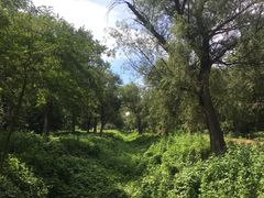 -廊坊市自然公园