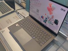 -ASUS华硕电脑阳天(百脑汇店)