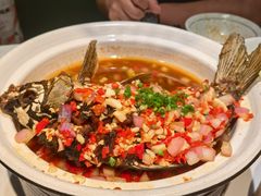 -费大厨辣椒炒肉(高铁吾悦广场店)