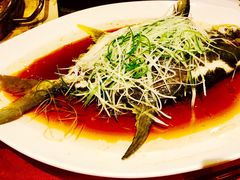 -大鹏饭店·金陵家宴(奥体中心店)