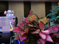 -珍煮丹·黑糖饮品专卖(东城万达店)