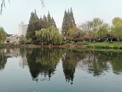 -月湖公园