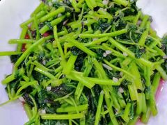 -全乐鱼馆·淳牌有机鱼直营店