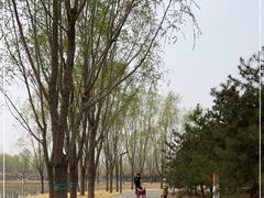 -东郊湿地公园