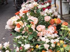 -循礼门鲜花花市(武汉循礼门店)