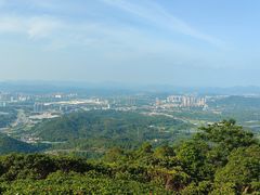 -黄埔油麻山森林公园