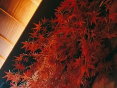 -新盈光·心院(嘉恒广场店)
