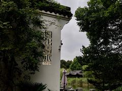 -日出青木