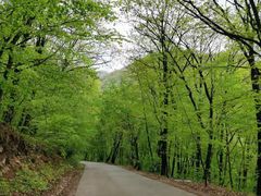 -五女峰国家森林公园