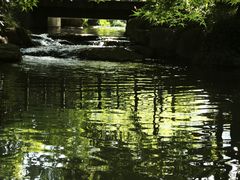 -中国茶叶博物馆(双峰馆区)