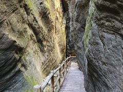 -牛背梁国家森林公园