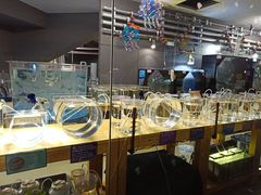 -西海国立公园九十九岛水族馆