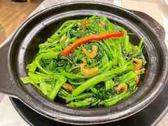 桑巴酱虾米啫空心菜-港丽餐厅(高德置地店)