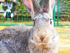 -西双版纳融创皇冠假日度假酒店