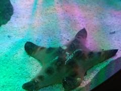 -沈阳海洋探索中心