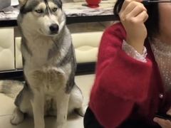 -北京信息科技大学清河小营校区学生食堂