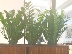 -广州酒家(昌岗地铁站店)