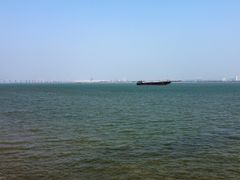 -大湾区中央湿地公园