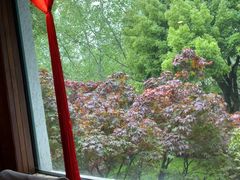 -申粤轩酒楼·三十年粤菜经典(丁香花园店)