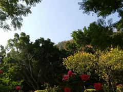 -攀枝花公园