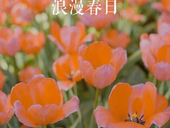 -国家植物园
