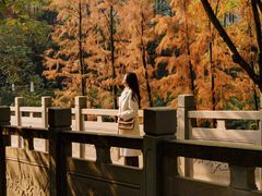 -重庆彩云湖湿地公园
