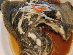 清蒸多宝鱼-湖锦酒楼·32年地道湖北菜(光谷店)