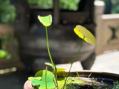-韬光茶庵