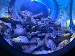 -成都浩海立方海洋公园