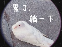 -万达广场(长沙开福店)