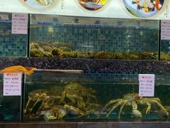 水产区-宝燕壹号(徐汇店)