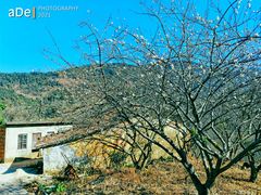 -广州市流溪河国家森林公园