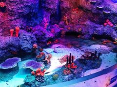 -沈阳海洋探索中心