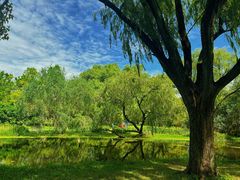 -上海共青森林公园