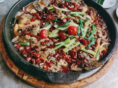 -老板恋上鱼(恒隆广场店)