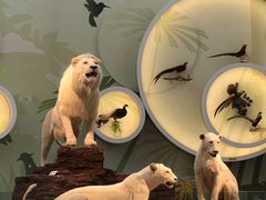 -陕西自然博物馆