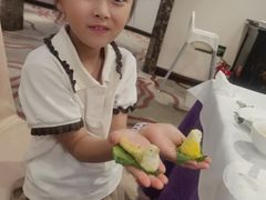 -花家怡园