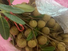 -侠成水上农庄(工业大道店)