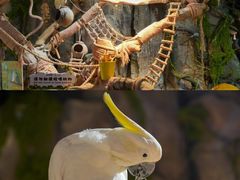 -正佳雨林生态植物园