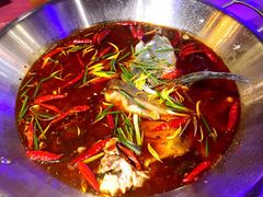 鱼火锅-红牌美蛙鱼头火锅(万辉国际广场店)