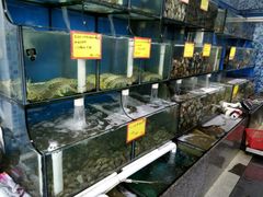 水产区-蚝专家(北滘店)