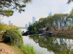 -天鹅湖体育公园