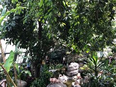 -北京植物园-展览温室