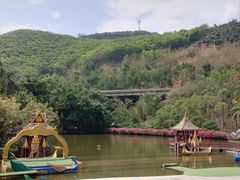 -西双版纳原始森林公园